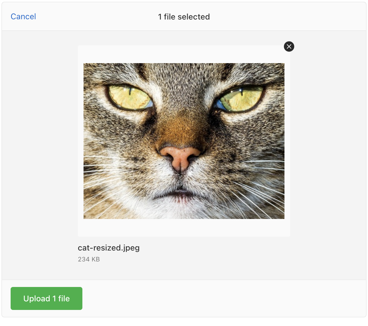 A webpage showing the Uppy dashboard with a picture of a cat uploaded.