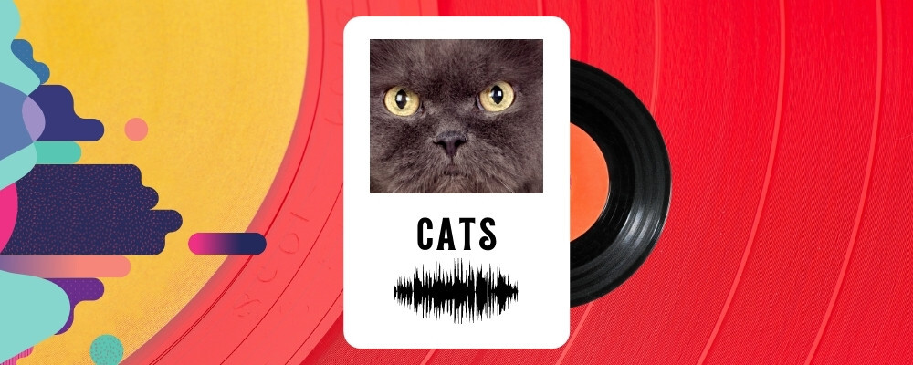 Let's Build: music card generator with Transloadit