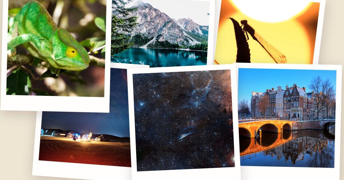 Collage effects for /image/merge: polaroid-stack and mosaic